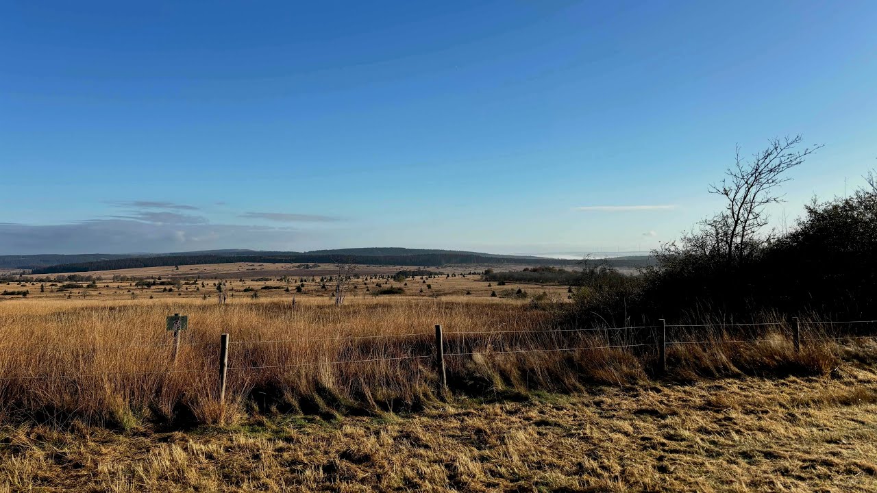 Wandelreis Hoge Venen